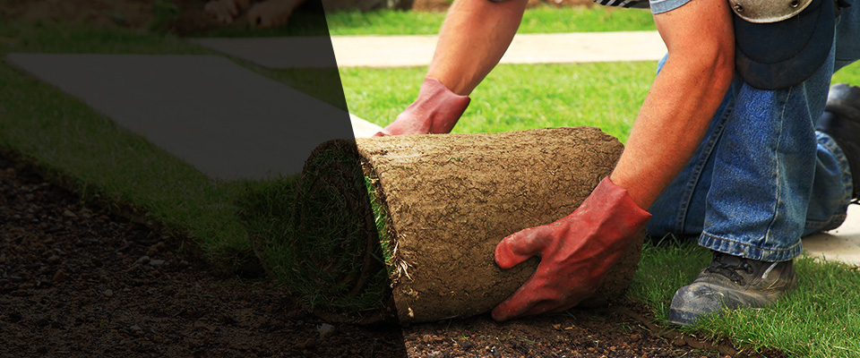 Divide Landscapers